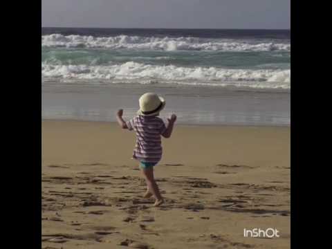 Alok_Bruno Marquini (Music)