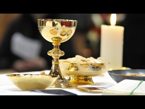 Santa Messa - 15/11/2023