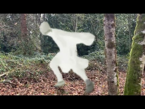 Christmas Legendary Monsters BELSNICKEL sighting