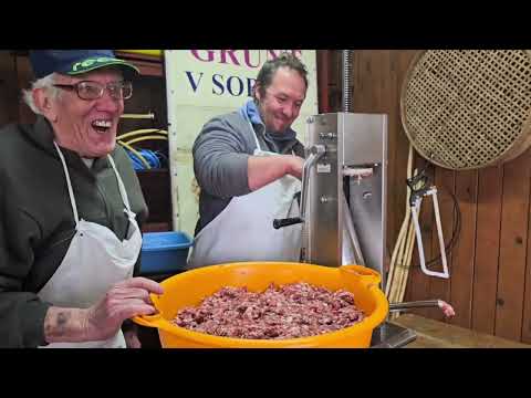 Koline na Grüntu TD Cven