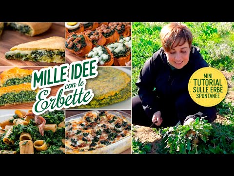 MILLE RICETTE CON LE ERBETTE & Mini Tutorial per Riconoscere e Raccogliere le Erbe Spontanee