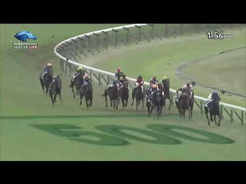 2019.11.24 Japan Cup - Suave Richard