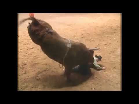 PBR 2000: Western Hauler Hooks Frank Newsom