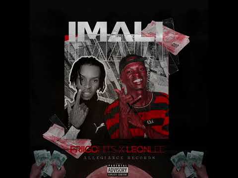 Friigo_hits-IMALi (Feat. LEON LEE) official _Audio_Visualizer)