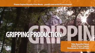 PromoSapien Royalty-Free Music Rocks Your Video, and more.