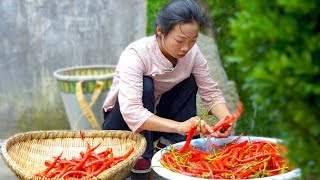 Video : China : Chili sauce, from scratch