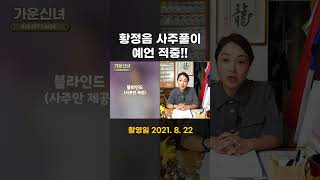 황정음 사주풀이 예언적중!!