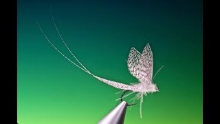 Fly Tying the Wally wing dry fly hatch matcher with Barry Ord Clarke
