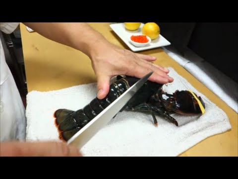 download lagu mp3 mp4 How To Cook Live Lobster, download lagu How To Cook Live Lobster gratis, unduh video klip How To Cook Live Lobster