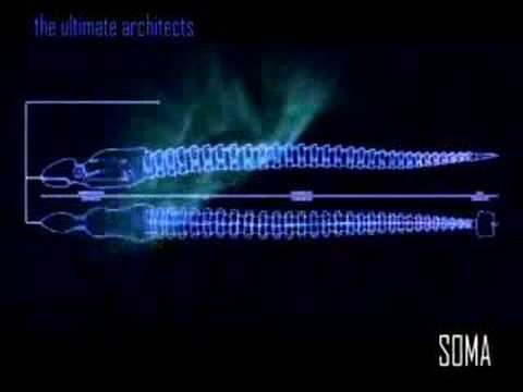 The Ultimate Architects - Soma EPK