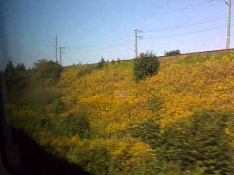 ICE 1501, Augsburg Hbf - Nürnberg Hbf, 03.09.2011, 0 - 200 km/h