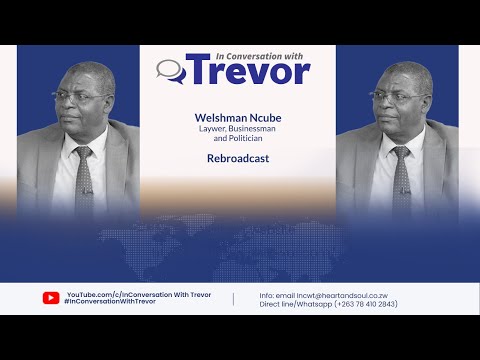Prof Welshman Ncube on Tsvangirai's Unilateral Veto and the MDC Split