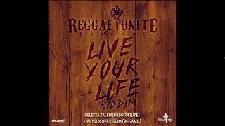 Selekta Zalem (BassCulture​.​fr) - Live Your Life Riddim ( Official Megamix) -2017.