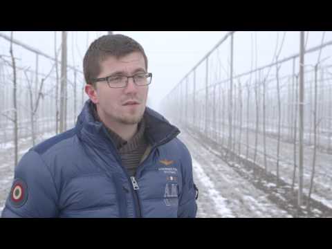 Uzgoj tresanja u Pancevu - U nasem ataru 674