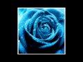 two songs Ralph Stanley   Daddy's Rose   A Robin Built A Nest On Daddy's Grave   YouTube