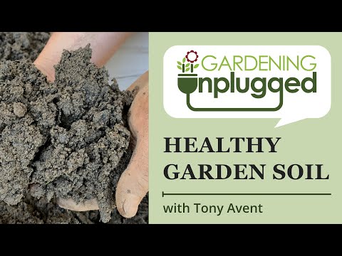 Gardening Unplugged -  Healthy garden soil (pro tips) with master gardener Tony Avent