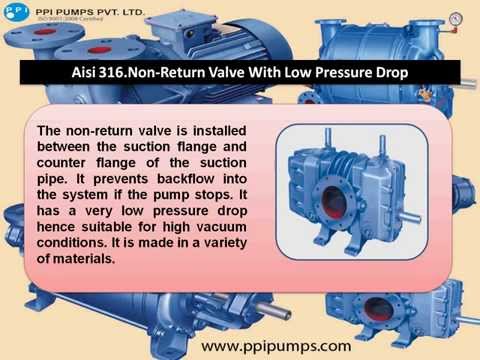 High Quality Liquid Ring Vacuum Pump from www.ppipumps.com