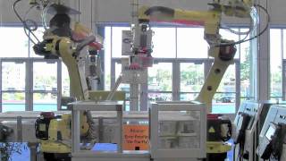 M-10iA Cream Cheese Packing Robots - FANUC Robotics Industrial Automation