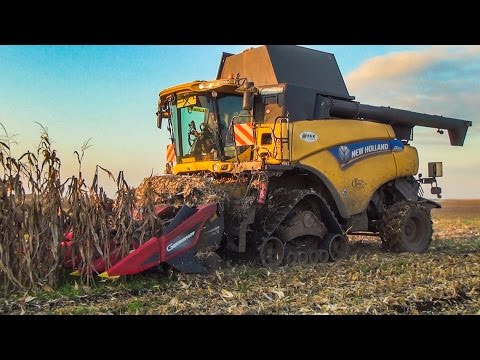 Kukorica aratás - New Holland CR9090 (Corn Harvest)