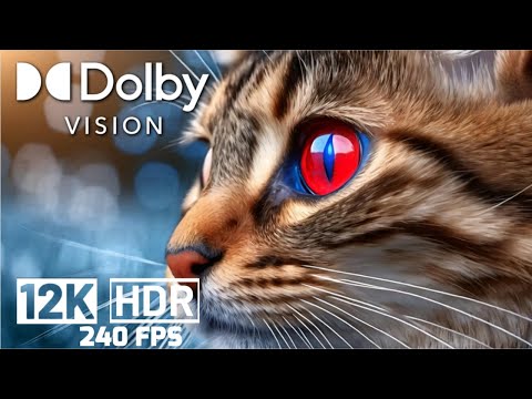 The most beautiful places in the world 12K  ULTRA HD 120FPS Dolby Vision Самые красивые места мира