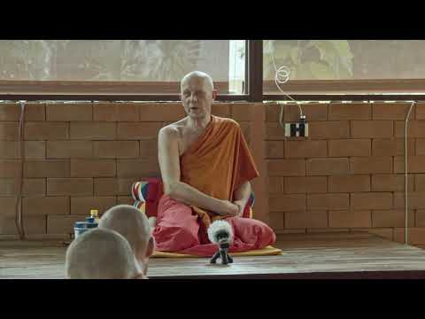 "The importance of daily reflection" Dhammatalk by Ajahn Martin (11/08/20)
