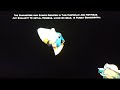Closing Logos Despicable Me 4 DVS