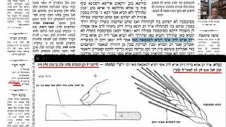 דף יומי מסכת חולין דף יז Daf yomi Masechet Chulin page 17  ע"י יוני גוטמן (שיעורי הדף היומי ב-20 דקות - מועבר ע"י ר' יוני גוטמן - לעילוי נשמת אביו ר' אלימלך צבי (צביקה) גוטמן ז"ל) - התמונה מוצגת ישירות מתוך אתר האינטרנט יוטיוב. זכויות היוצרים בתמונה שייכות ליוצרה. קישור קרדיט למקור התוכן נמצא בתוך דף הסרטון