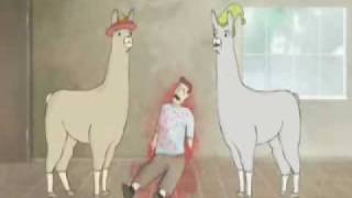 Lamas mit Hüten 1-3 [deutsch]