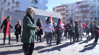 preview picture of video 'One Billion Rising Segrate 2014'