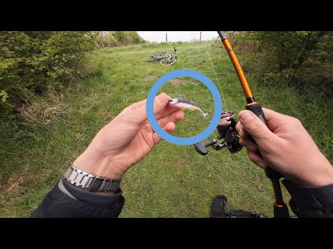 Mit Mini Köder auf MONSTERBARSCHE. 😨🫢