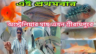 Serampore Fish Market | Serampore Pet Market | Shrirampur Fish Market | Fish Shop Near Me | Pet Shop