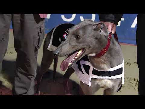 2021 RPGTV GRAND NATIONAL FINAL - T2 MEENAGH MAVERICK