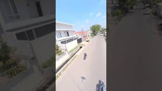 Download lagu BURUNG MACAW PULUHAN JUTA LEPAS mp3 Download lagu BURUNG MACAW PULUHAN JUTA LEPAS mp3