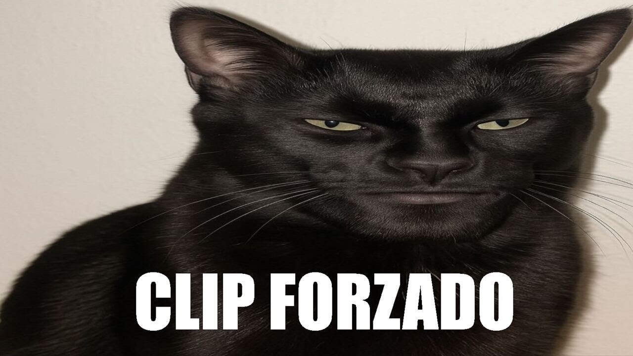 Shitpost Compilation V25