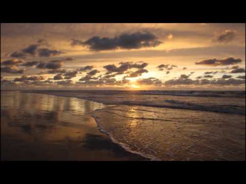 Paul van Dyk feat. Arty - The Ocean (Original Mix)
