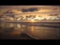Paul van Dyk feat. Arty - The Ocean (Original Mix)