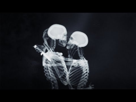 Natos y Waor and RECYCLEDJ