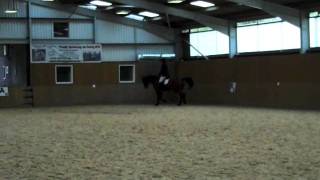 Otis and Becky - Fortune Centre 301011 Pr