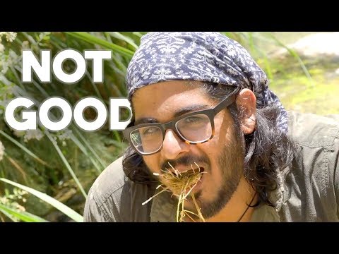 THIS MADE ME REALLY SICK - Ein Gedi & The Dead Sea, Israel