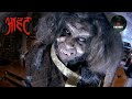 Haveli में मचा हंगामा Aahat Season 3 Episode 17 Full Episode