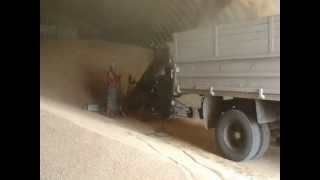 WSB metalen hangar te koop - Foto 4 | Agronetto NL Nieuw WSB metalen hangar | Foto 4 - Agronetto