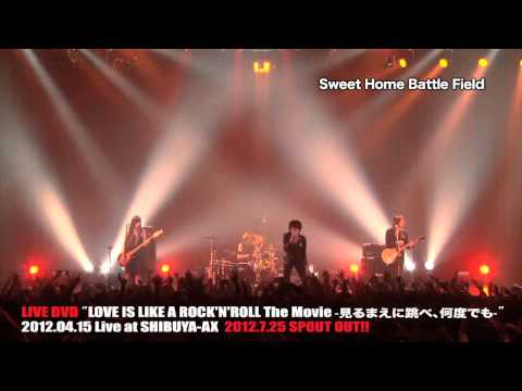 a flood of circle／LIVE DVD「LOVE IS LIKE A ROCK'N'ROLL The Movie」ダイジェスト