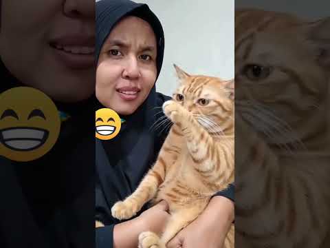 Si Mpus Bau 😁 #satwa #florafauna #funny #hiburan