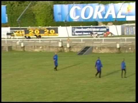 2017 CORAL SUSSEX CUP - HEAT 4 - T2 SHANEBOY FREDDIE