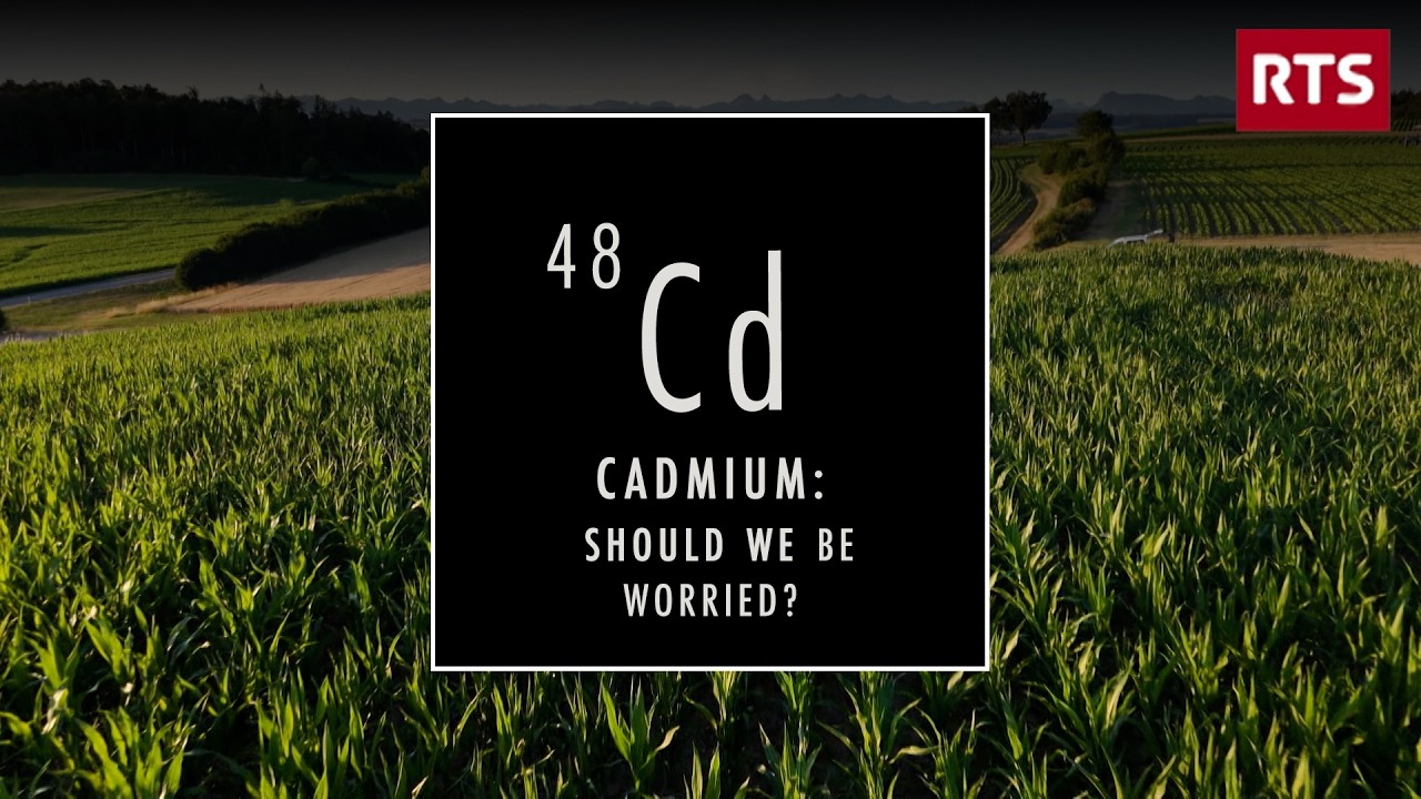 France confronts cadmium contamination in food from phosphate fertilizers, health officials warn