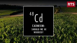 France confronts cadmium contamination in food from phosphate fertilizers, health officials warn