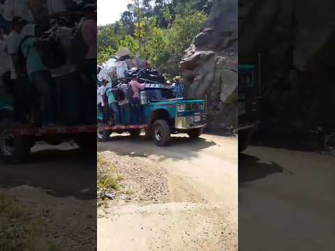 asi es el transporte campesino en las montañas de Colombia,  desde Caicedo Antioquia #campo #carpati