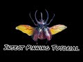 Insect Pinning Mounting For Display Giant Rhino Beetle Edition