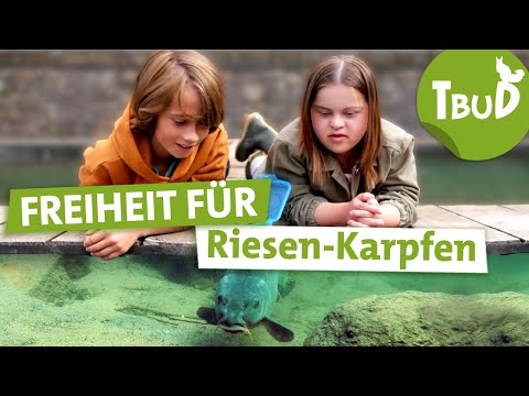 Free Karpfen (Folge 121) | Tiere bis unters Dach