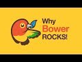 BOWER Streamline Web Workflow With Bower Package Manager